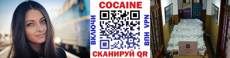 Cocaine Fish Scale  закладка  Пудож 