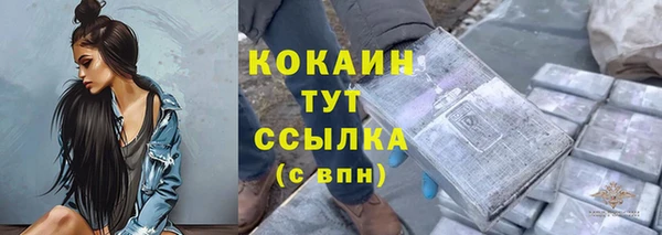 бошки Няндома