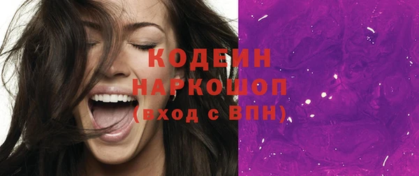 бошки Няндома
