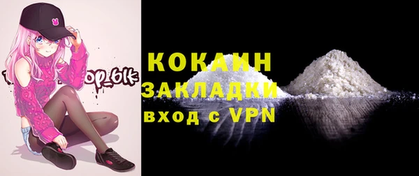 бошки Няндома