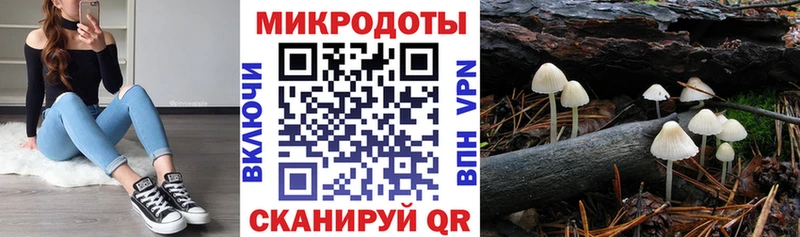 Галлюциногенные грибы Magic Shrooms  ссылка на мегу ТОР  Пудож  купить наркотик 