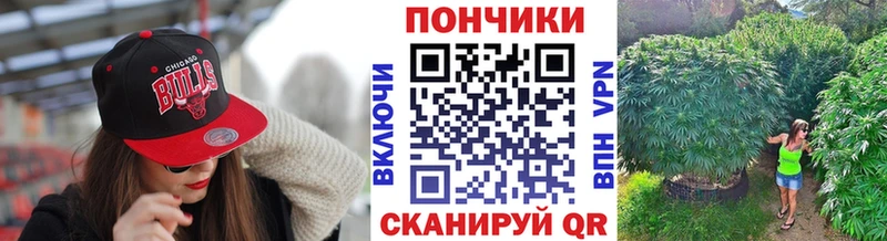 Бошки марихуана White Widow мега зеркало Пудож сколько стоит
